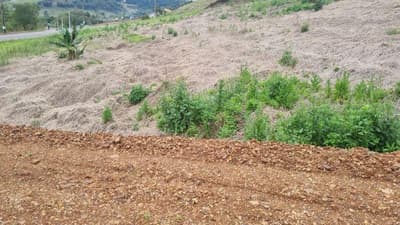 Foto 5 de 5: Terreno em leilão em Saudades - SC — LOTE URBANO Nº 04, DA QUADRA Nº 122, LOCALIZADO EM SAUDADES/SC ÁREA DE 360M²