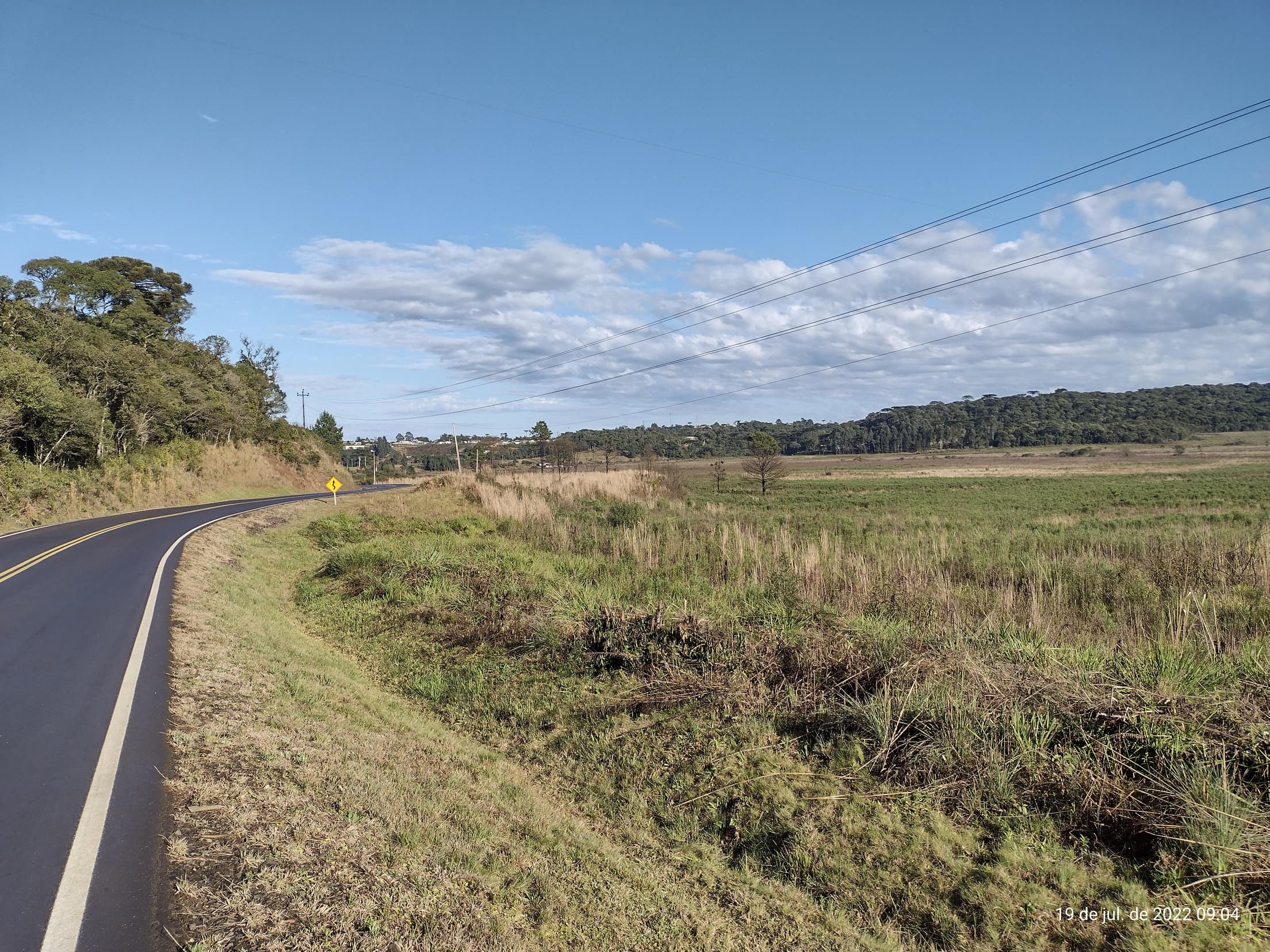 Foto 49 de 50: Terreno em leilão em Irati - PR — Terreno rural com área de 74.282,70m², Irati/PR