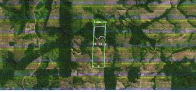Foto 4 de 8: Area Rural em leilão em Corumbiara - RO — IMÓVEL RURAL | A.T. 27.2712 HA (VERDE SERINGAL) | CORUMBIARA/RO