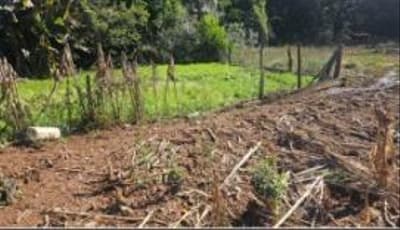 Foto 6 de 10: Imóvel em leilão em Erval Seco - RS — IMÓVEL URBANO COM ÁREA TOTAL DE 2.500,00 m² - SEBERI/RS