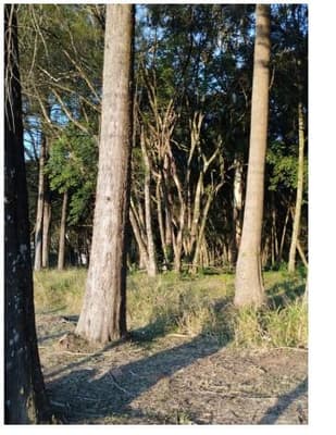 Foto 1 de 10: Terreno em leilão em Curitiba - PR, bairro Umbará — Terreno com área de 110.260,75m² localizado no bairro Umbará em Curitiba - Paraná
