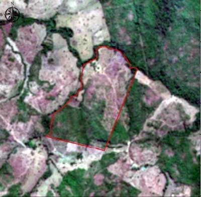 Foto 7 de 7: Area Rural em leilão em Dois Irmãos Do Tocantins - TO — IMÓVEL RURAL | A.T.45,97 HA FAZ. GALILEIA PECUÁRIA | DOIS IRMÃOS DO TOCANTINS/TO