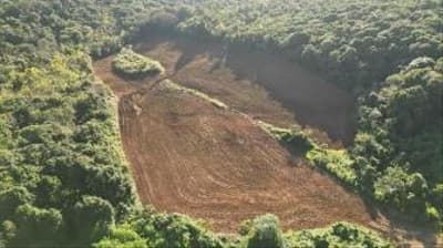 Foto 4 de 13: Area Rural em leilão em Nova Esperança Do Sudoeste - PR — LOTE RURAL EM SALTO DO LONTRA-PR