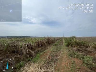 Foto 9 de 28: Area Rural em leilão em Sorriso - MT — IMÓVEL RURAL | 61,6997HA FAZ. SANTA MARIA PARCELA B | EM SORRISO/MT - DESTINAÇÃO PECUÁRIA