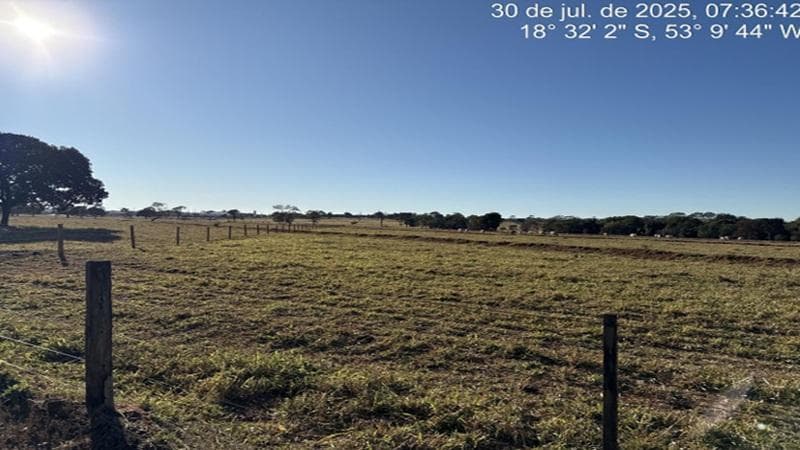 Foto 5 de 6: Area Rural em leilão em Costa Rica - MS — IMÓVEL RURAL | A.T. 9,8309 HA FAZENDA FLOR DA MATA | COSTA RICA/MS