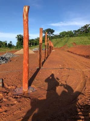 Foto 3 de 5: Area Rural em leilão em Alta Floresta D'oeste - RO, bairro Rio Branco — IMÓVEL RURAL | A.T. 51,1094 HA | SETOR RIO BRANCO - SÍTIO NOSSA SENHORA APARECIDA | ALTA FLORESTA DO OESTE/RO