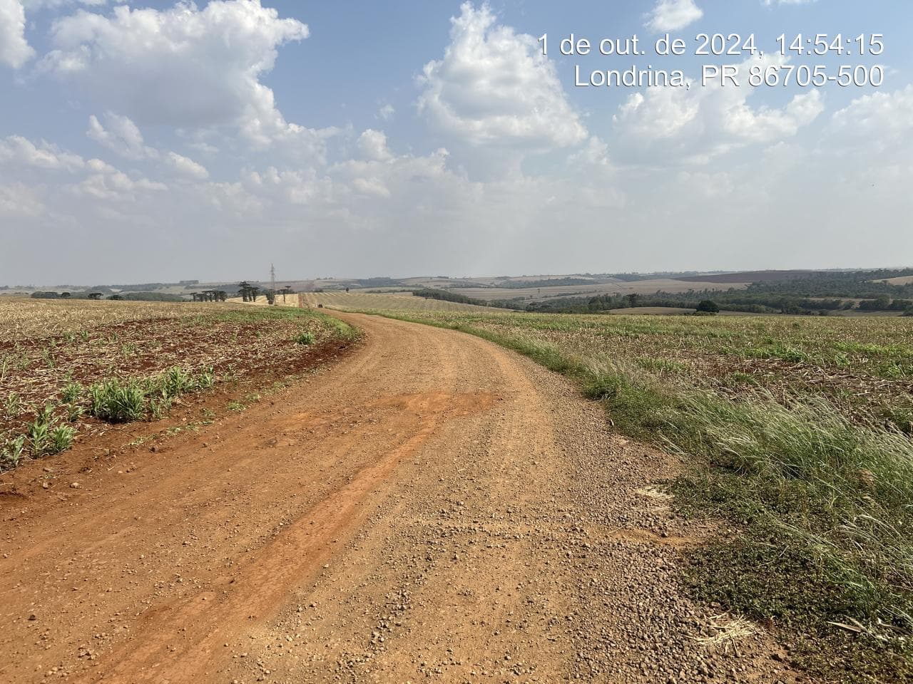 Foto 18 de 21: Area Rural em leilão em Arapongas - PR — Fração ideal de 6,255% do Lote rural, coma área 28100,83m², Arapongas/PR