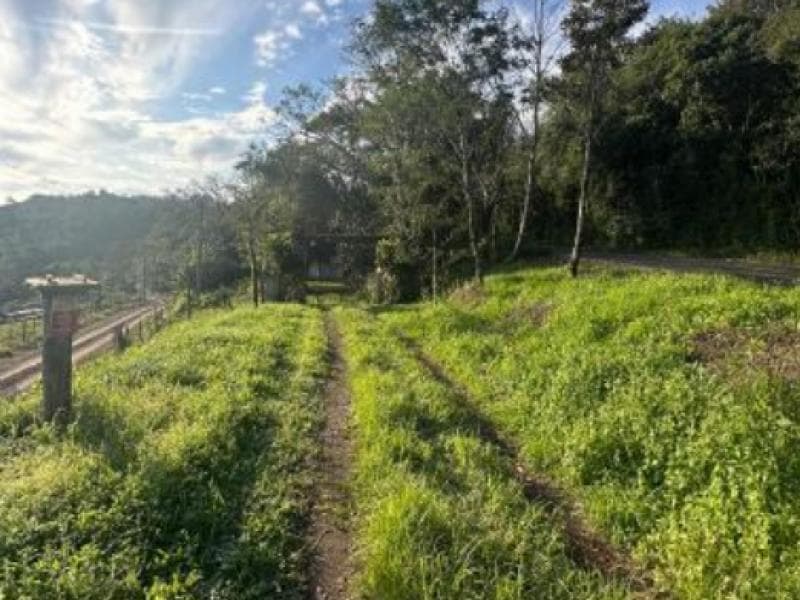 Foto 10 de 12: Area Rural em leilão em Igrejinha - RS, bairro Morro Mico — Chacara_Sitio, 3.3 ha, Igrejinha / RS