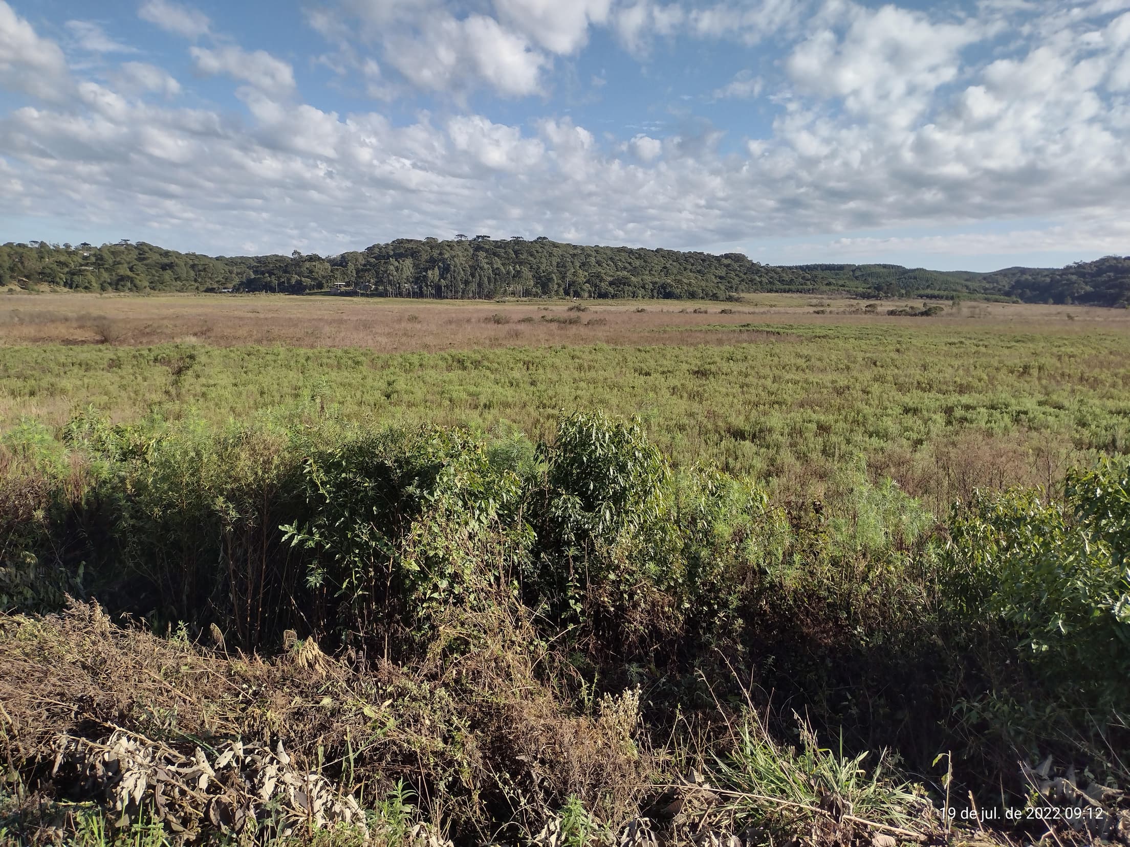 Foto 2 de 50: Terreno em leilão em Irati - PR — Terreno rural com área de 74.282,70m², Irati/PR