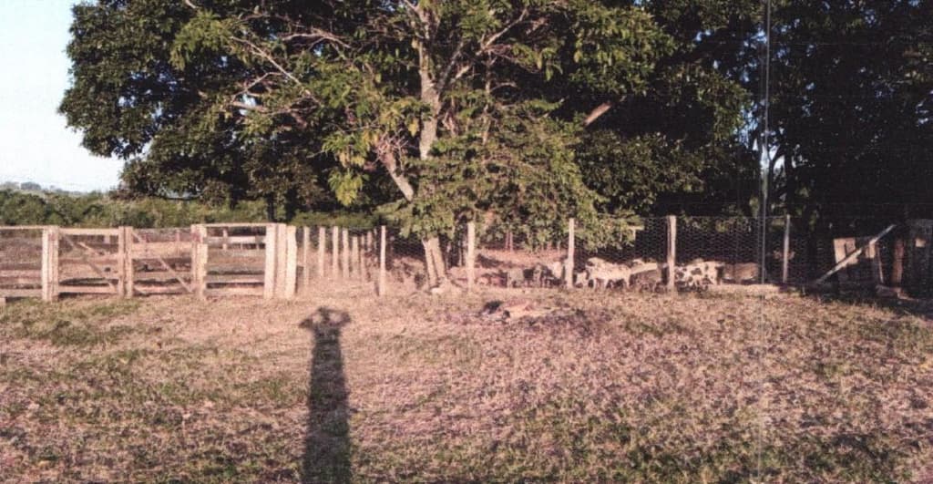Foto 5 de 5: Area Rural em leilão em Mineiros - GO — IMÓVEL RURAL - PECUÁRIA - A.T. 266,21 HA - MINEIROS/GO