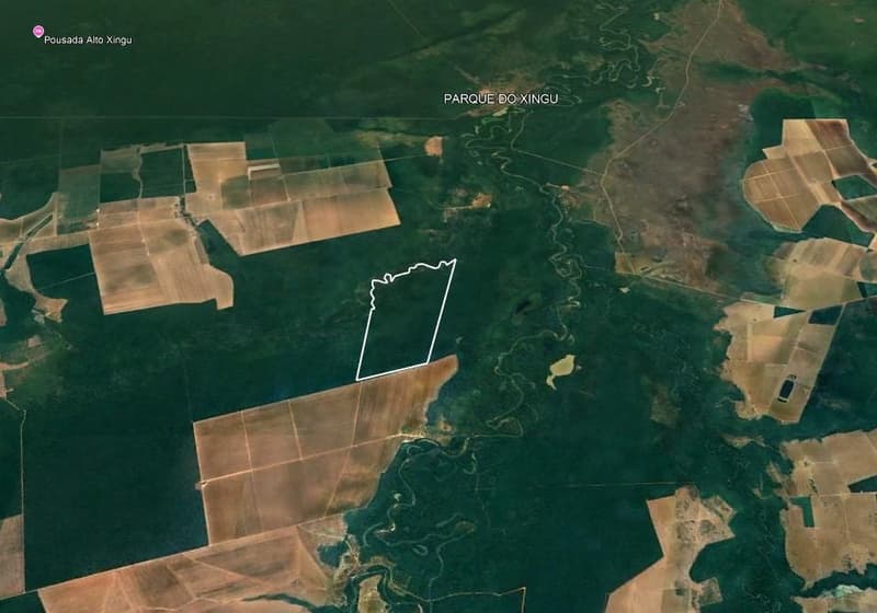 Foto 4 de 4: Area Rural em leilão em Gaúcha Do Norte - MT — Fazenda Rancho Alegre 501ha | Gaúcha do Norte-MT |Próxima ao Ribeirão Kevualeli