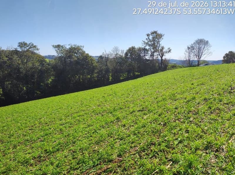 Foto 5 de 16: Terreno em leilão em Erval Seco - RS, bairro Interior — IMÓVEL RURAL COM ÁREA DE de 107.819,20 m2, EM ERVAL SECO/RS