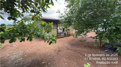 Foto 5 de 11: Area Rural em leilão em São Miguel Do Guaporé - RO — IMÓVEL RURAL - SÍTIO DOIS IRMÃOS DE 12,0919HA - SÃO MIGUEL DO GUAPORÉ/RO