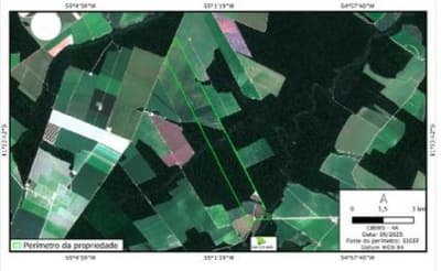 Foto 2 de 2: Area Rural em leilão em Santa Carmem - MT — Gleba com 904ha, Fazenda do Chapadão, Santa Carmem/MT - Ocupada