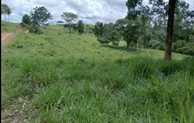 Foto 7 de 9: Area Rural em leilão em Alta Floresta - MT — IMÓVEL RURAL | 68,88HA - SITUADO NO LOTEAMENTO NOVA BANDEIRANTES/MT
