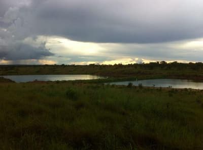 Area Rural em leilão em Nossa Senhora Do Livramento - MT — Área de terras com 100,9418ha | Nossa Senhora do Livramento/MT