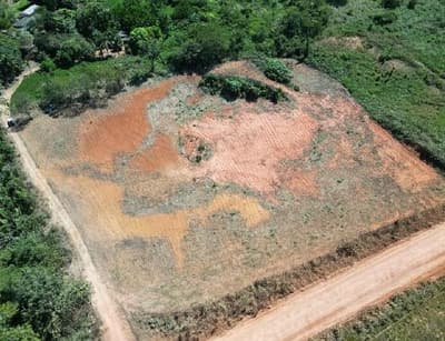 Foto 3 de 5: Area Rural em leilão em Apiacás - MT — IMÓVEL RURAL | A.T. 15.916,00m² | CHÁCARA LE 71 - APIACÁS/MT