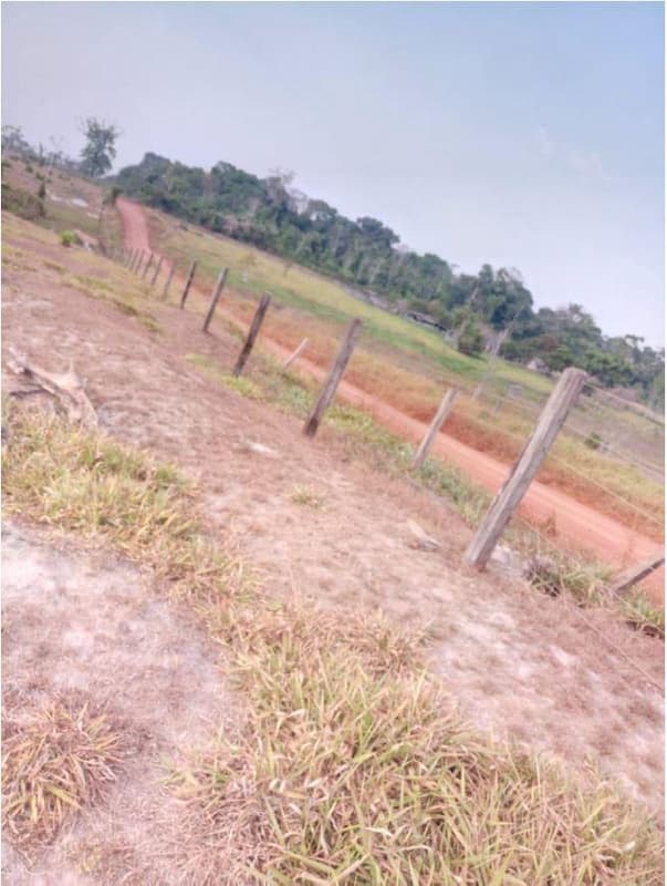 Foto 3 de 4: Area Rural em leilão em Alta Floresta D'oeste - RO — IMÓVEL RURAL | A.T. 28.5016ha ESTÂNCIA FERREIRA III | ALTA FLORESTA D'OESTE/RO.