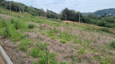 Foto 2 de 5: Terreno em leilão em Saudades - SC, bairro Saudades — LOTE URBANO Nº 08, DA QUADRA Nº 122, LOCALIZADO EM SAUDADES/SC ÁREA DE 360M²