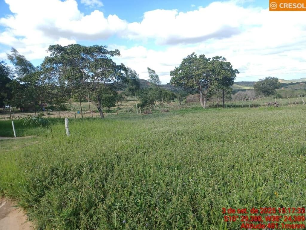 Foto 10 de 10: Area Rural em leilão em Cícero Dantas - BA — IMÓVEL RURAL Em CÍCERO DANTAS/BA