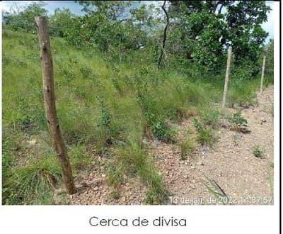 Foto 3 de 10: Area Rural em leilão em Formoso Do Araguaia - TO — IMÓVEL RURAL, 57,34HA - PROJETO RIO FORMOSO, 3ª ETAPA EM FORMOSO DO ARAGUAIA/TO - COM CASA SEDE