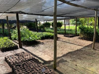 Foto 13 de 14: Comercial em leilão em Posse - GO — IMÓVEIS RESIDENCIAL, COMERCIAL E RURAL | POSSE/GO