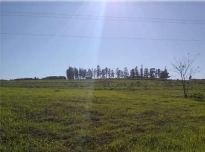 Foto 16 de 18: Terreno em leilão em Nova Esperança - PR — IMÓVEL URBANO - VENDA DE TRÊS MATRÍCULAS EM CONJUNTO- Em NOVA ESPERANÇA/PR