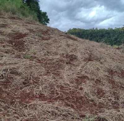 Foto 3 de 8: Area Rural em leilão em Anchieta - SC — Lote Rural 72.600m² Desocupado em Anchieta/SC