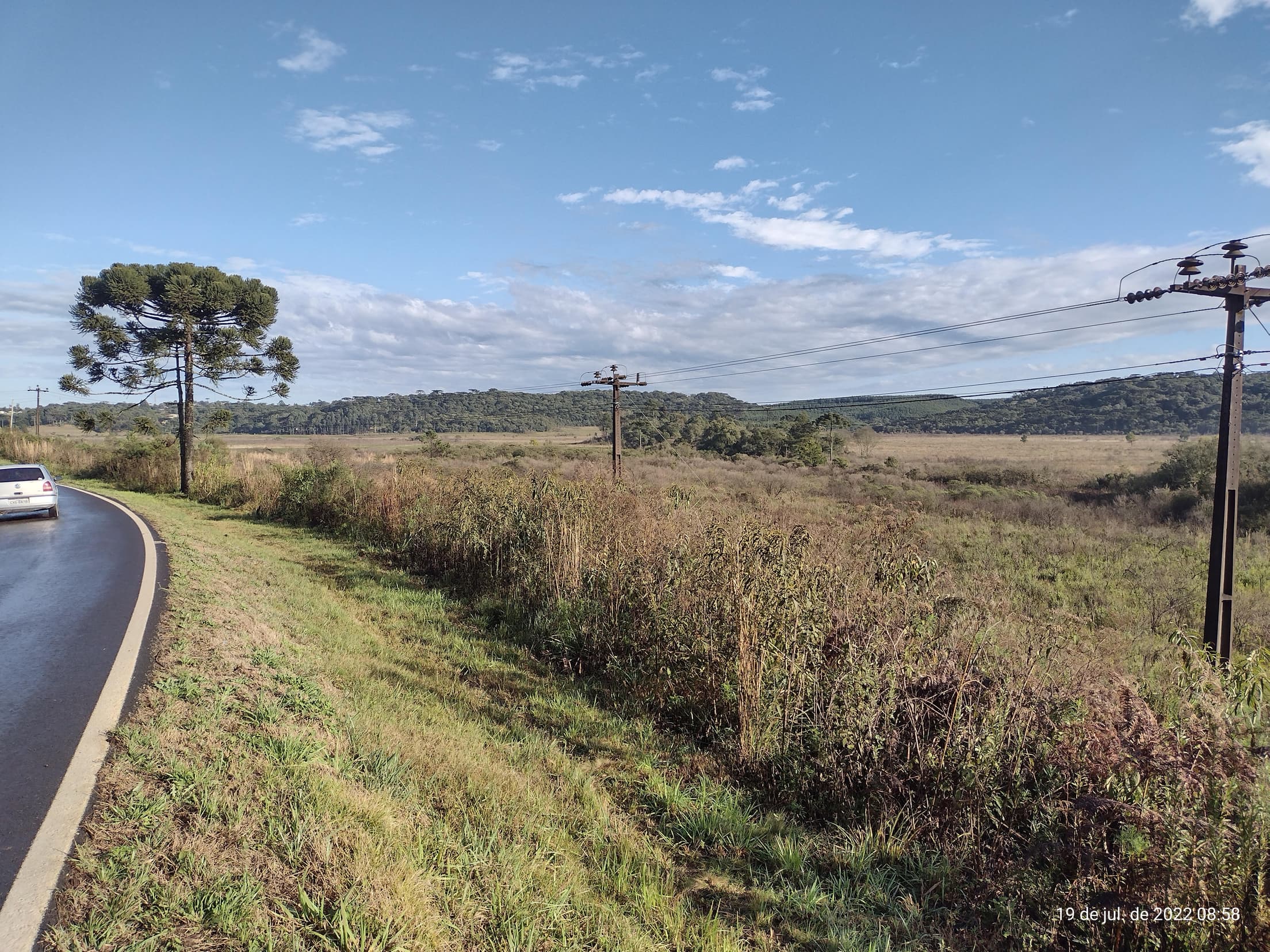 Foto 31 de 50: Terreno em leilão em Irati - PR — Terreno rural com área de 74.282,70m², Irati/PR