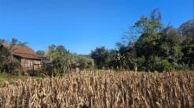 Foto 4 de 10: Imóvel em leilão em Erval Seco - RS — IMÓVEL URBANO COM ÁREA TOTAL DE 2.500,00 m² - SEBERI/RS