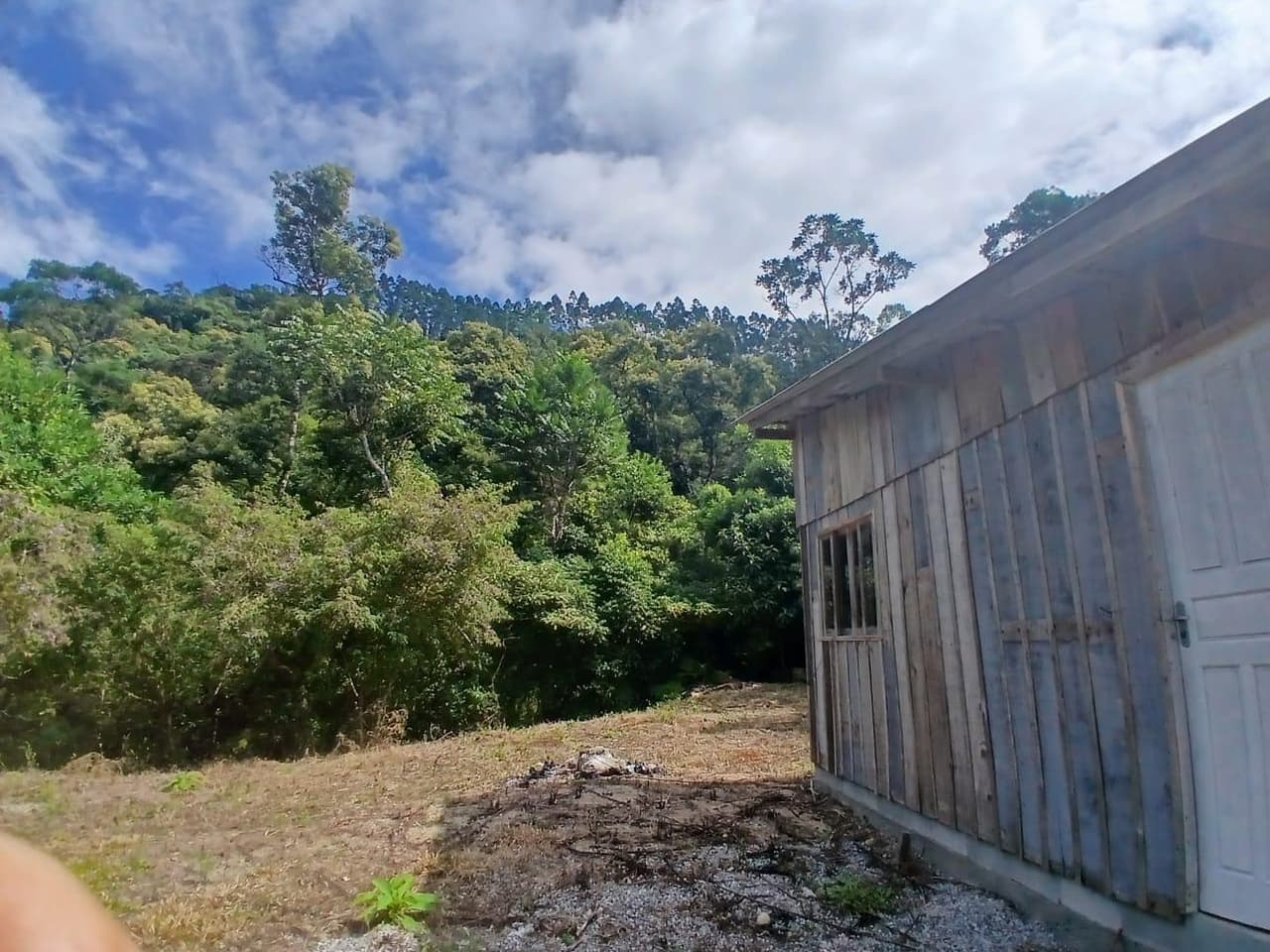 Foto 4 de 18: Area Rural em leilão em Anitápolis - SC — IMÓVEL RURAL COM ÁREA TOTAL DE 30.704,71m². EM ANITÁPOLIS-SC