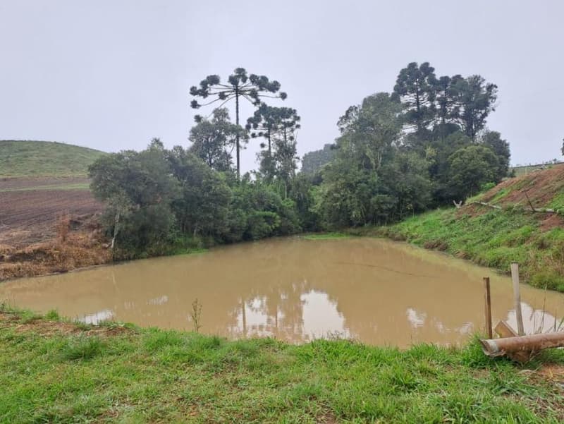 Foto 12 de 25: Area Rural em leilão em Correia Pinto - SC — IMÓVEL RURAL COM ÁREA TOTAL DE 121.000M² - CORREIA PINTO/SC