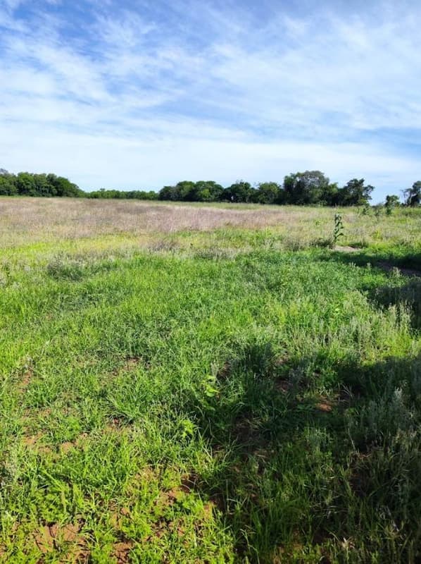 Foto 7 de 12: Area Rural em leilão em Santo Cristo - RS — IMÓVEL RURAL COM ÁREA TOTAL DE 20.250m² - SANTO CRISTO/RS