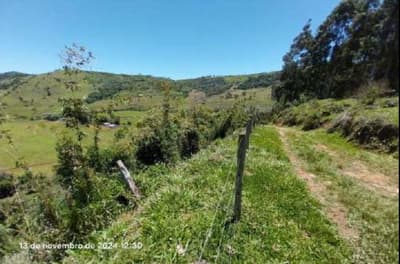 Foto 13 de 16: Area Rural em leilão em Pinhão - PR — Imóvel rural, 242.766,02 m², denominado Torres, Município e Comarca de Pinhão-PR
