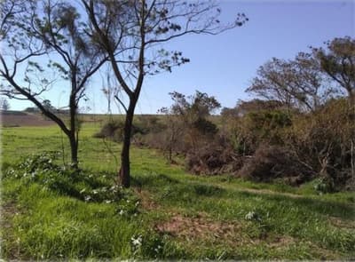 Foto 8 de 18: Terreno em leilão em Nova Esperança - PR — IMÓVEL URBANO - VENDA DE TRÊS MATRÍCULAS EM CONJUNTO- Em NOVA ESPERANÇA/PR