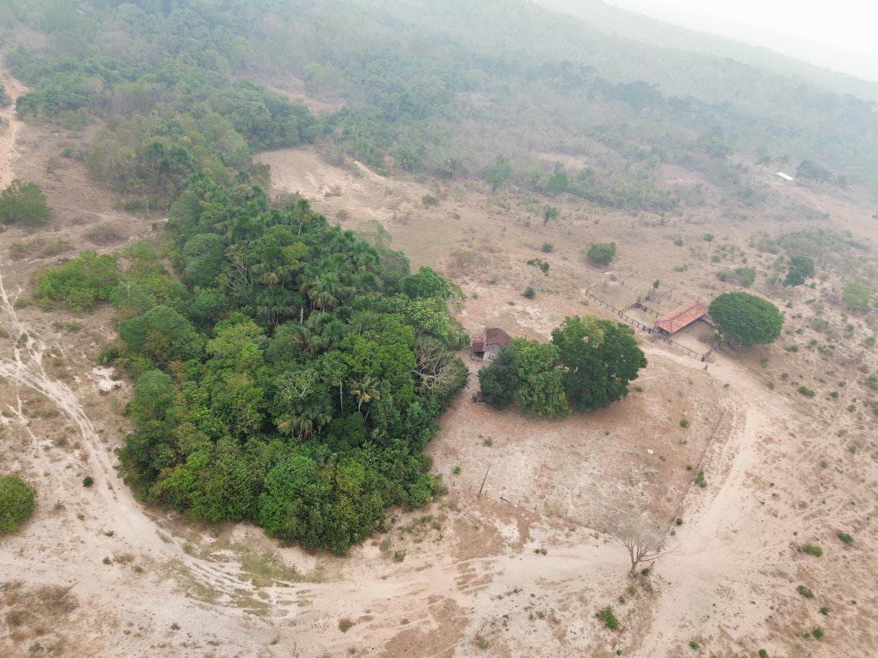 Foto 18 de 20: Area Rural em leilão em Pimenta Bueno - RO — IMÓVEL RURAL | A. T. 63,4635 HA | PIMENTA BUENO/RO - LEILÃO EMPRESARIAL SISTÊMICO SICREDI