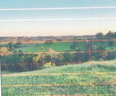 Foto 3 de 13: Area Rural em leilão em Alto Alegre Dos Parecis - RO — IMÓVEL RURAL | A.T 26,44 HA | ALTO ALEGRE DOS PARECIS, COMARCA DE SANTA LUZIA D'OESTE/RO