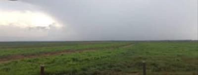 Foto 25 de 28: Area Rural em leilão em Sorriso - MT — IMÓVEL RURAL | 61,6997HA FAZ. SANTA MARIA PARCELA B | EM SORRISO/MT - DESTINAÇÃO PECUÁRIA