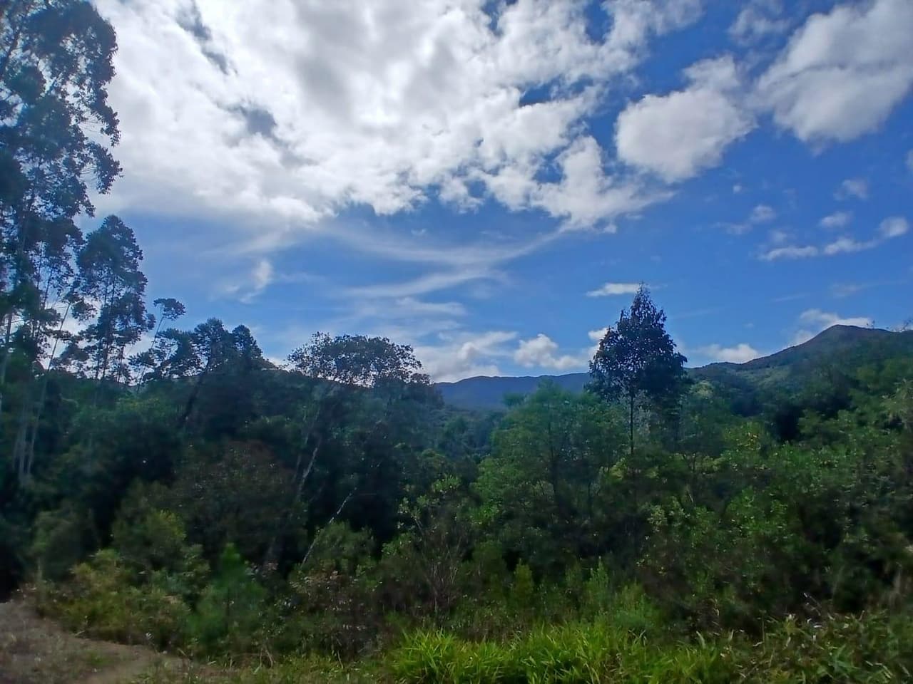 Foto 5 de 18: Area Rural em leilão em Anitápolis - SC — IMÓVEL RURAL COM ÁREA TOTAL DE 30.704,71m². EM ANITÁPOLIS-SC