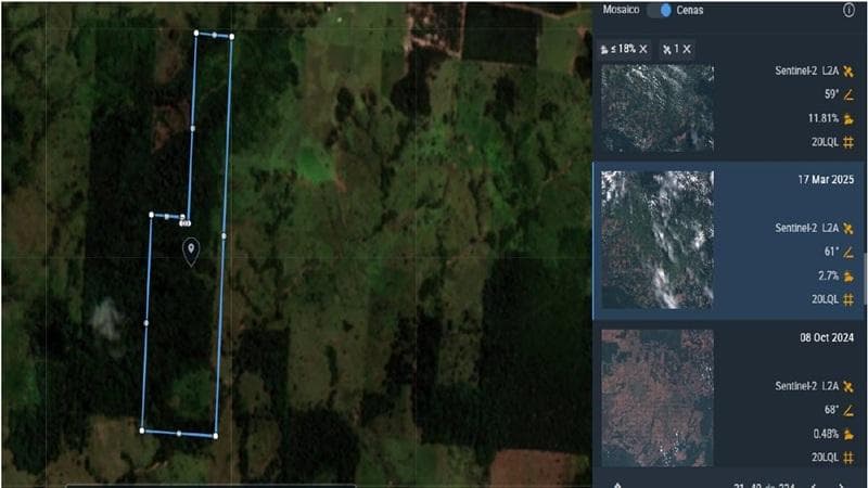 Foto 5 de 6: Area Rural em leilão em Corumbiara - RO — IMÓVEL RURAL | 74,8894 HA, IDEAL PARA PECUÁRIA | CORUMBIARA/RO