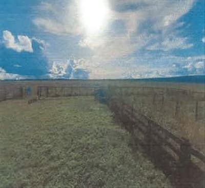 Foto 2 de 7: Area Rural em leilão em Vilhena - RO — IMÓVEL RURAL | 97,7589 HA - CORUMBIARA | VILHENA/RO