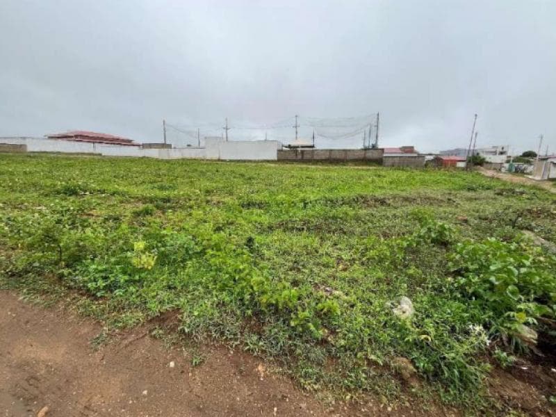 Foto 1 de 4: Terreno em leilão em Campo Redondo - RN — Lote, 1470.0 m2, Campo Redondo / RN