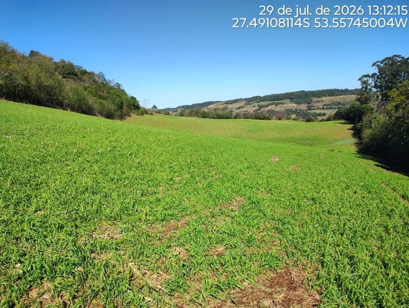Foto 10 de 16: Terreno em leilão em Erval Seco - RS, bairro Interior — IMÓVEL RURAL COM ÁREA DE de 107.819,20 m2, EM ERVAL SECO/RS