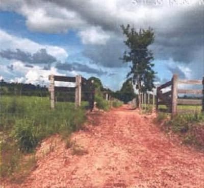 Foto 7 de 7: Area Rural em leilão em Novo Horizonte Do Oeste - RO — IMÓVEL RURAL AT. 85,3452HA, GLEBA BOM PRINCÍPIO EM NOVO HORIZONTE D'OESTE-RO