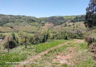 Foto 9 de 16: Area Rural em leilão em Pinhão - PR — Imóvel rural, 242.766,02 m², denominado Torres, Município e Comarca de Pinhão-PR