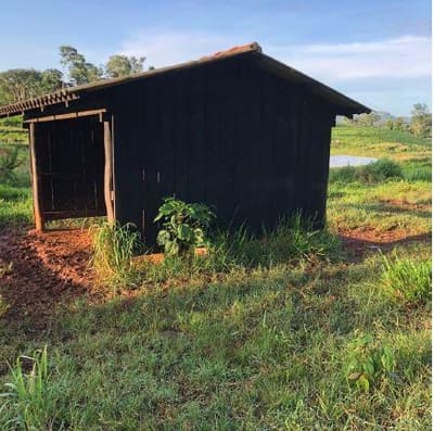 Foto 4 de 5: Area Rural em leilão em Alta Floresta D'oeste - RO, bairro Rio Branco — IMÓVEL RURAL | A.T. 51,1094 HA | SETOR RIO BRANCO - SÍTIO NOSSA SENHORA APARECIDA | ALTA FLORESTA DO OESTE/RO