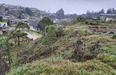 Foto 4 de 10: Terreno em leilão em Santa Cecília - SC — (Parte ideal) Terreno, A.T. 3.266,62m², diferencial, Bairro Rondinha