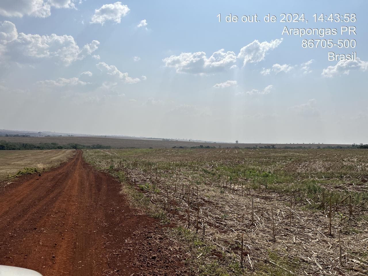 Foto 12 de 21: Area Rural em leilão em Arapongas - PR — Fração ideal de 6,255% do Lote rural, coma área 28100,83m², Arapongas/PR