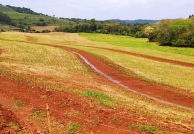Foto 4 de 5: Area Rural em leilão em Nova Esperança Do Sudoeste - PR — Área Rural - Nova Esp. Sud-PR