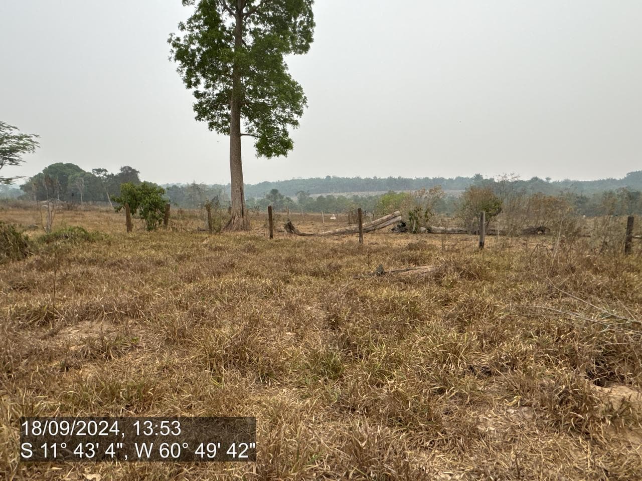 Foto 3 de 20: Area Rural em leilão em Pimenta Bueno - RO — IMÓVEL RURAL | A. T. 63,4635 HA | PIMENTA BUENO/RO - LEILÃO EMPRESARIAL SISTÊMICO SICREDI
